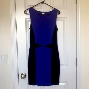 Venus Black and Blue Color Block Dress